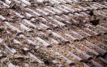 Fort William roof cleaning companies